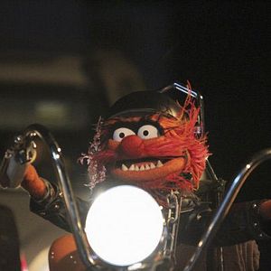 Photo The Muppets