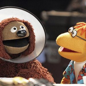 Photo The Muppets