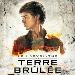Photo Le Labyrinthe : La Terre brûlée