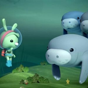 Photo Les Octonauts