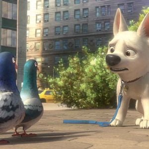 Photo Volt, star malgré lui