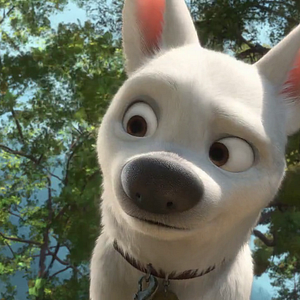 Photo Volt, star malgré lui