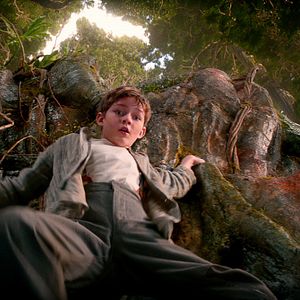 Photo Levi Miller (II)