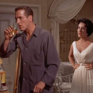 Photo La Chatte sur un toit brûlant