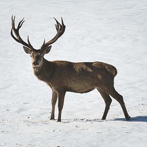 Photo Les Saisons