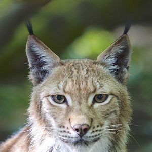 Photo Les Saisons