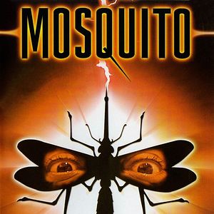 Photo Mosquito