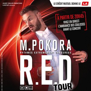 Photo M. Pokora RED Tour
