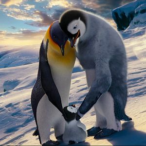 Photo Happy Feet