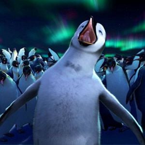 Photo Happy Feet