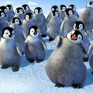 Photo Happy Feet