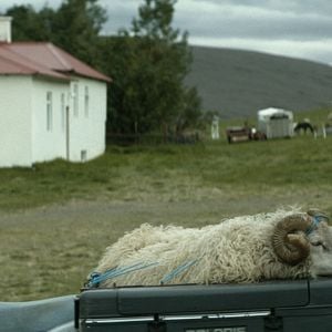 Photo Sigurður Sigurjónsson