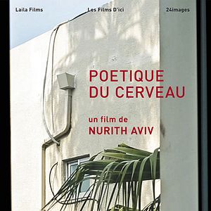Photo Poétique du cerveau