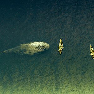Photo Au coeur de l'Océan