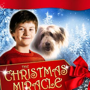 Photo Le Miracle de Noël