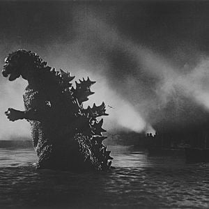 Photo Godzilla