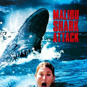 Photo Malibu Shark Attack