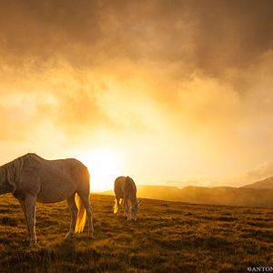Photo Beyond our arena