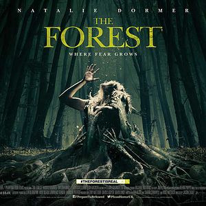 Photo The Forest