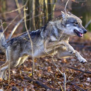 Photo Les Saisons