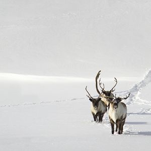 Photo Les Saisons