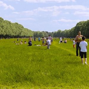 Photo Le Bois dont les rêves sont faits