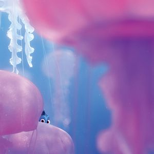Photo Le Monde de Dory