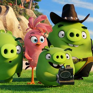 Photo Angry Birds - Le Film
