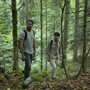 Photo The Forest