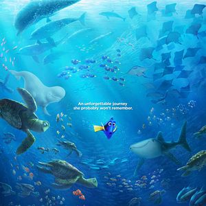 Photo Le Monde de Dory