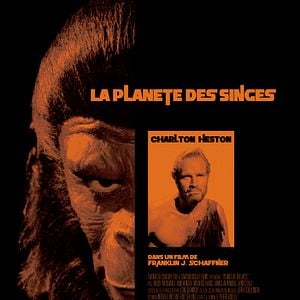 Photo La Planète des singes