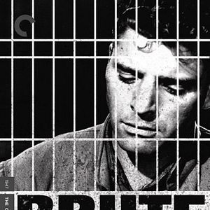 Photo Les Démons de la liberté