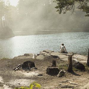 Photo Jordskott, la forêt des disparus