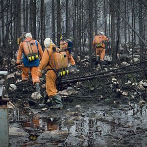 Photo Jordskott, la forêt des disparus