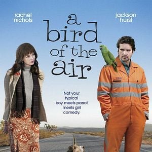 Photo A Bird of the Air