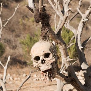Photo Bone Tomahawk