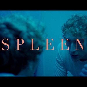 Photo Spleen