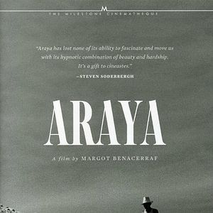 Photo Araya