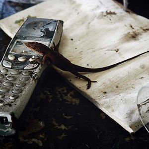 Photo Ouragan