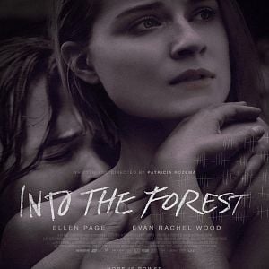 Photo Into the Forest