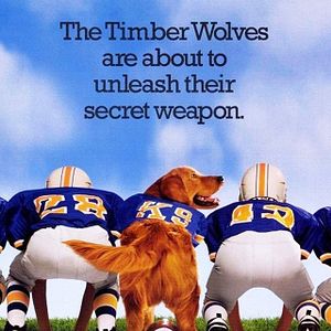 Photo Air Bud 2 : Receveur étoile