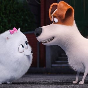 Photo Comme des bêtes