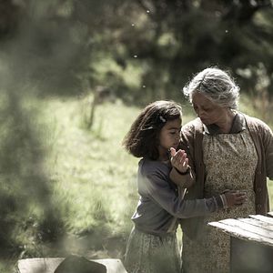 Photo Nancy Brunning