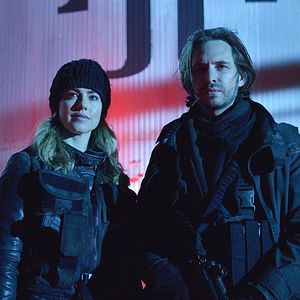 Photo 12 Monkeys