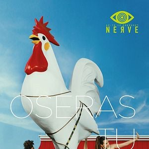 Photo Nerve