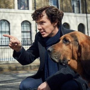 Photo Benedict Cumberbatch