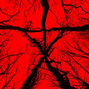 Photo Blair Witch
