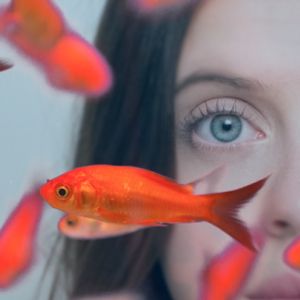 Photo Carrie Pilby