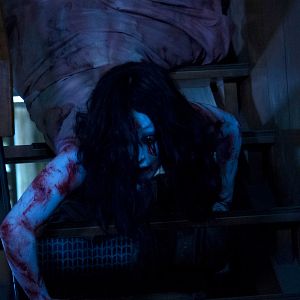 Photo Sadako Vs. Kayako