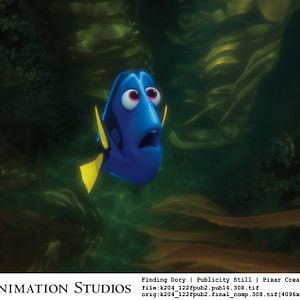 Photo Le Monde de Dory